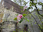 2026-04-30 07.26.19.jpg